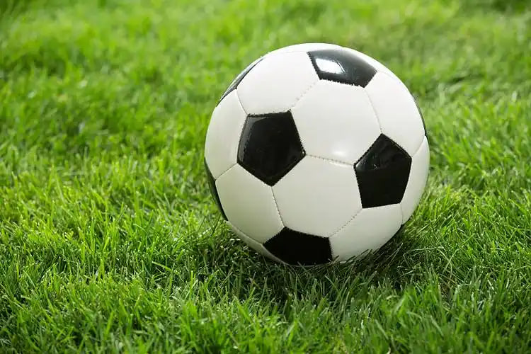 多平台下载使用示意图